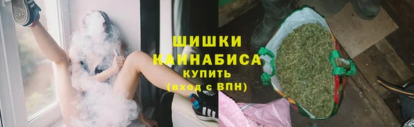 PSILOCYBIN Михайлов